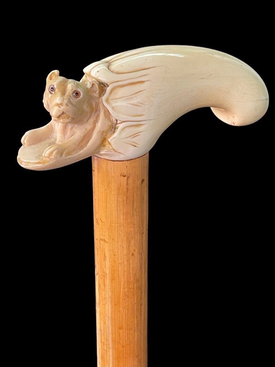 Stick With Lateral Ivory Handle Depicting A Dog Inside A Hiding Place. 