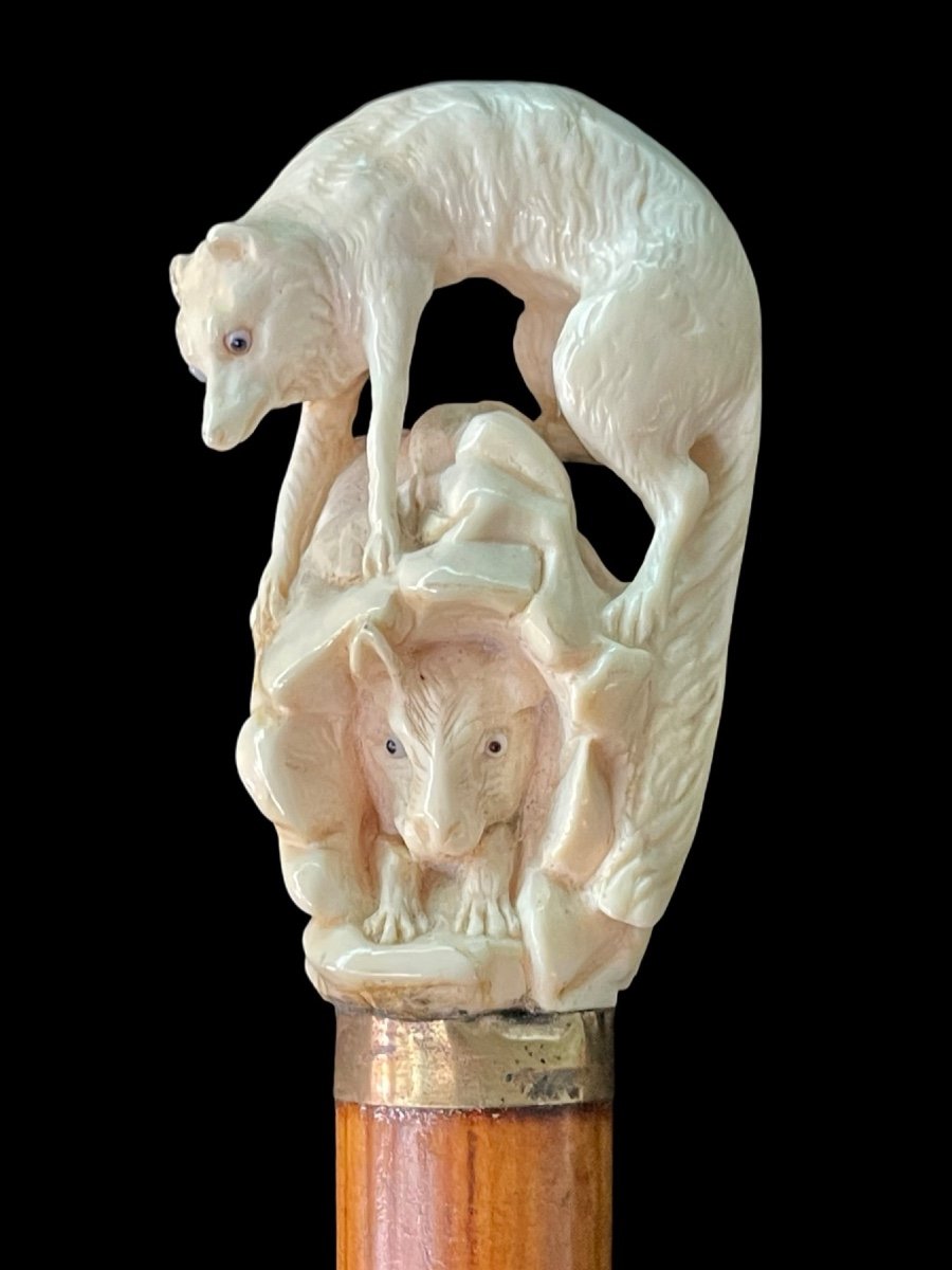 Stick With Ivory Knob Depicting A Wolf Hunting Prey Hidden In A Cave. -photo-2