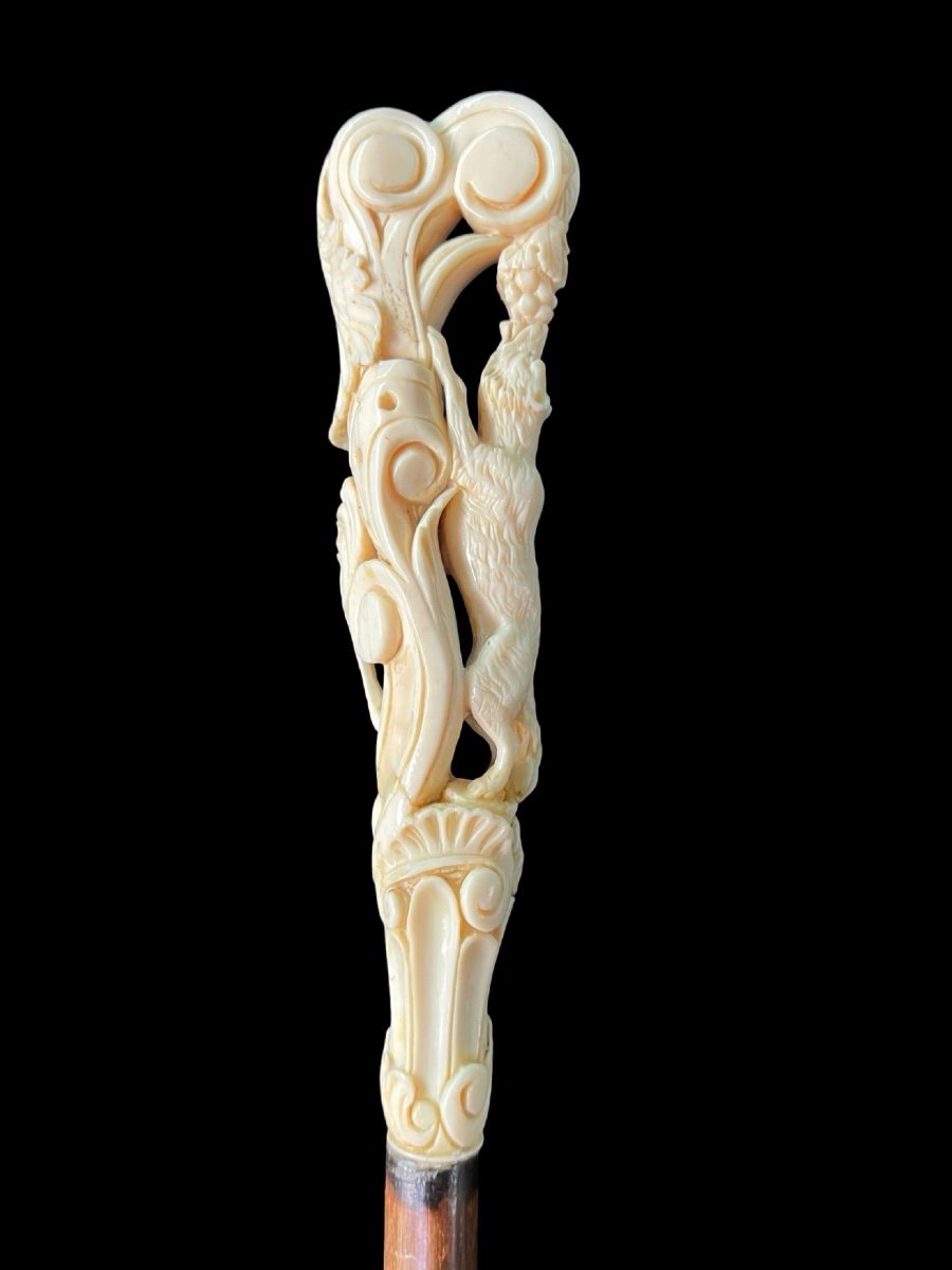 Stick With Ivory Knob Depicting The Fox And Grapes -photo-3