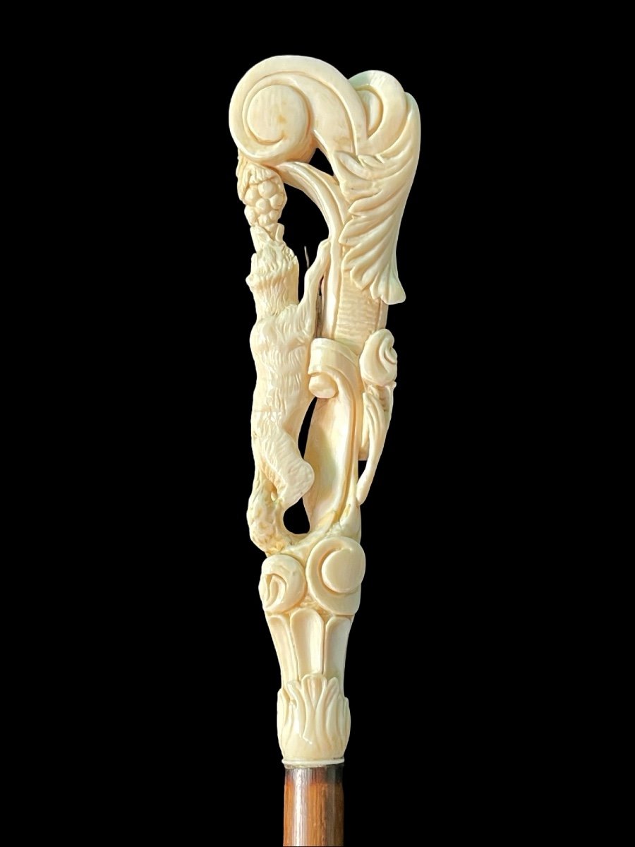 Stick With Ivory Knob Depicting The Fox And Grapes -photo-4