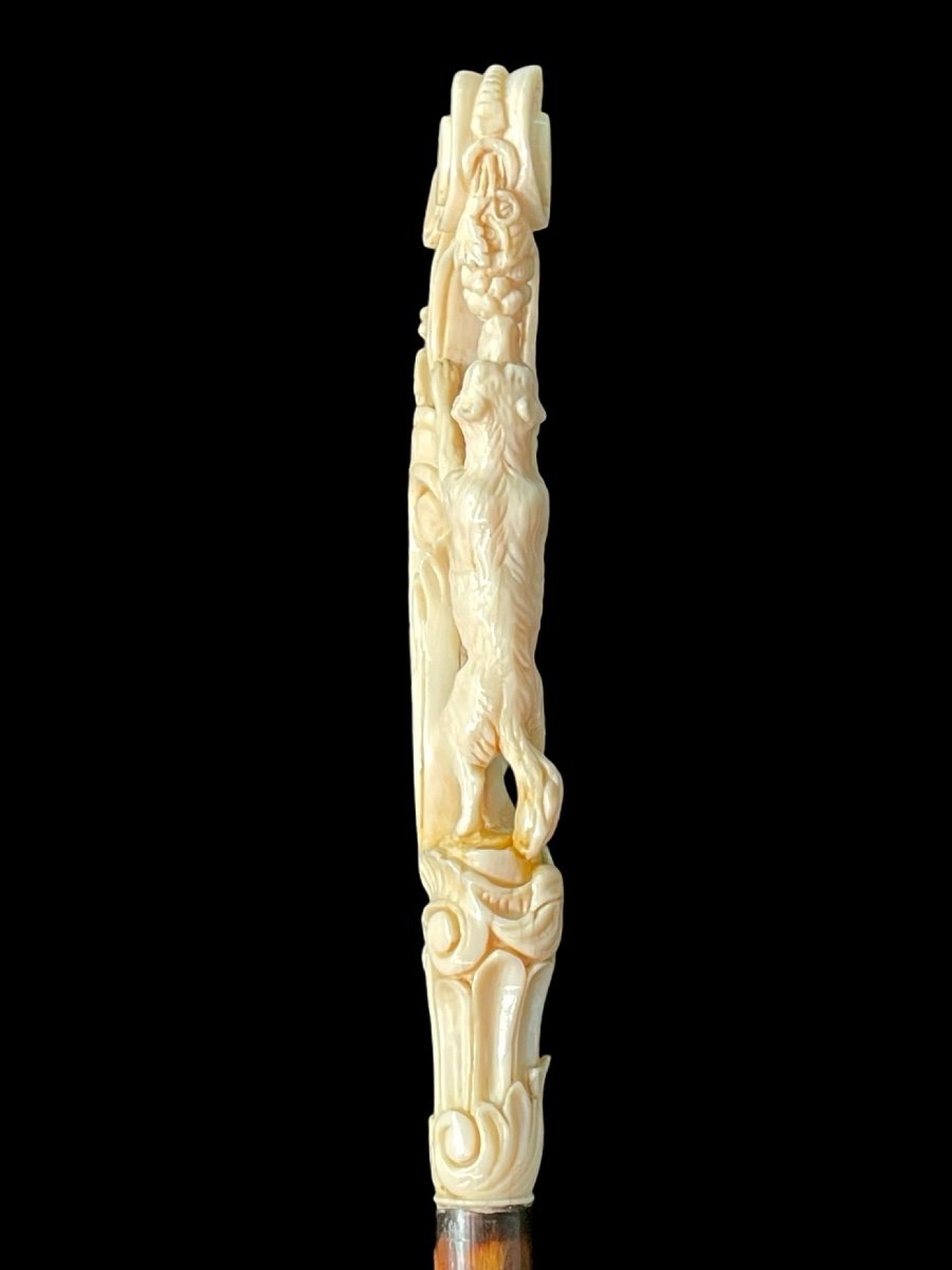 Stick With Ivory Knob Depicting The Fox And Grapes -photo-1
