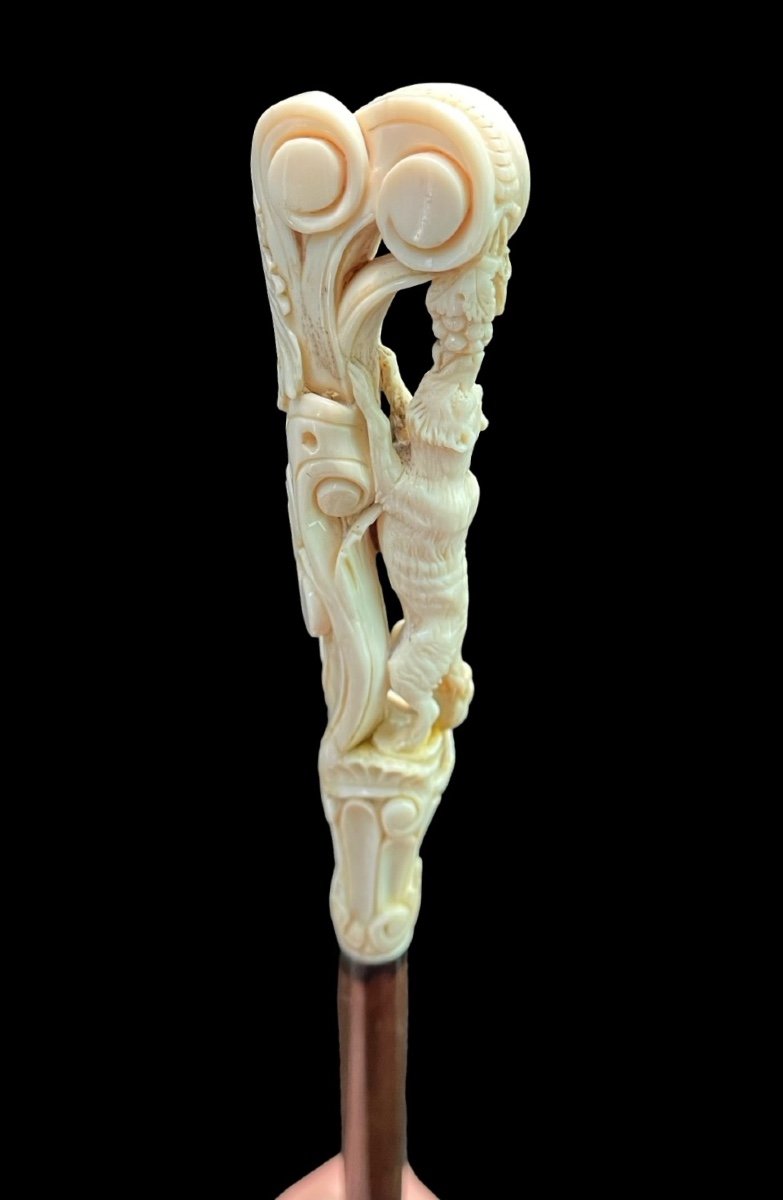 Stick With Ivory Knob Depicting The Fox And Grapes 