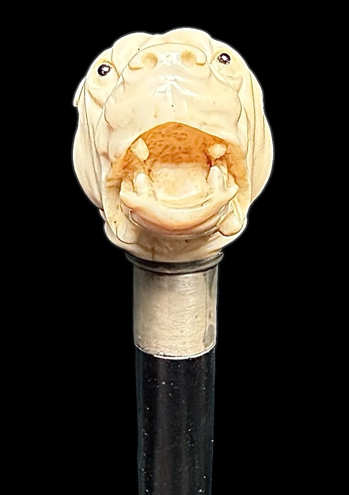 Walking Stick With Ivory Knob Depicting A Mastiff Dog. -photo-3