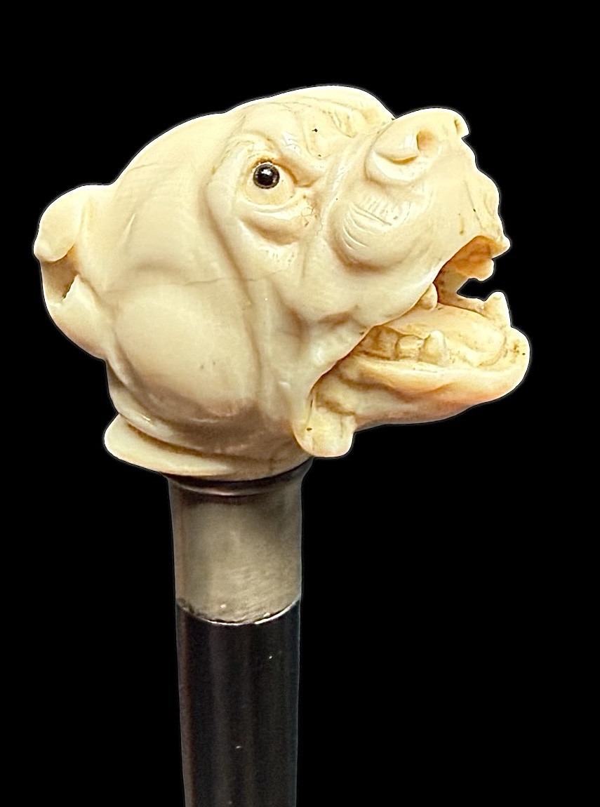 Walking Stick With Ivory Knob Depicting A Mastiff Dog. -photo-1