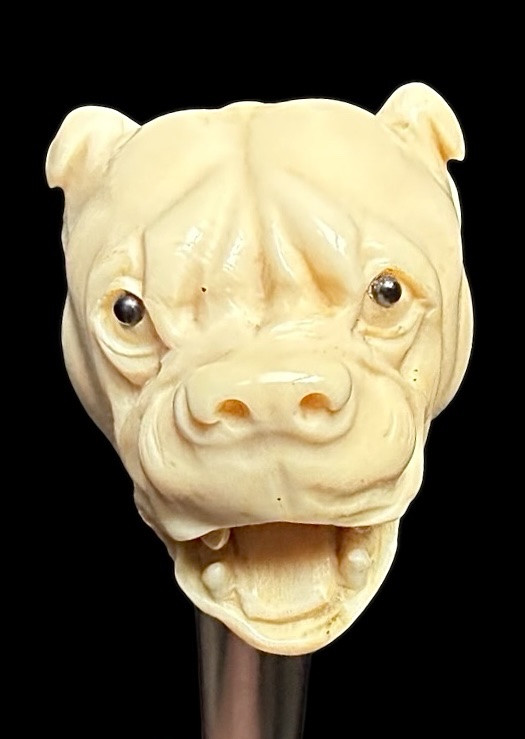 Walking Stick With Ivory Knob Depicting A Mastiff Dog. -photo-2