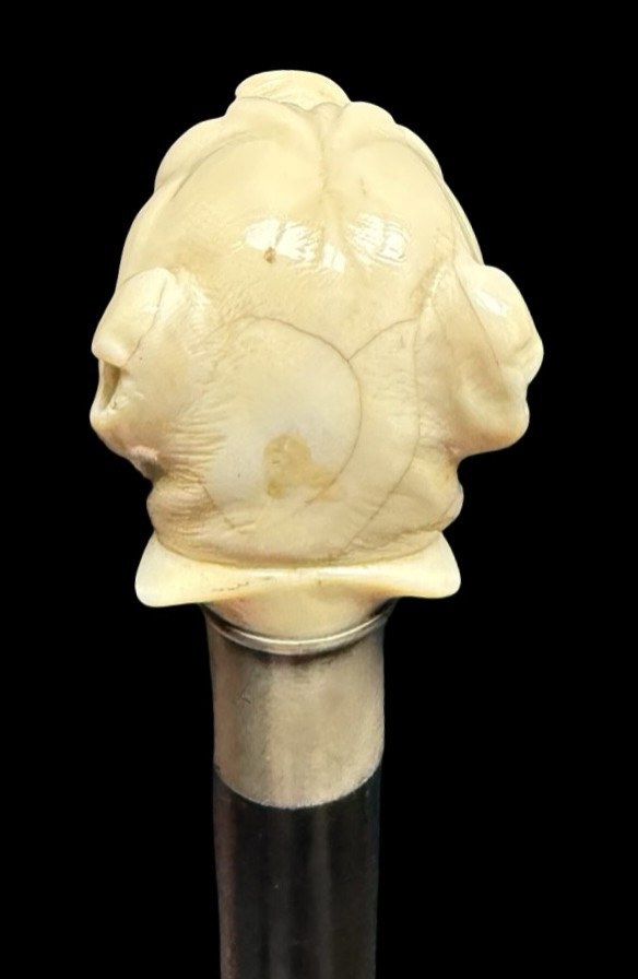 Walking Stick With Ivory Knob Depicting A Mastiff Dog. -photo-3