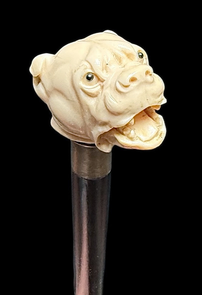Walking Stick With Ivory Knob Depicting A Mastiff Dog. 