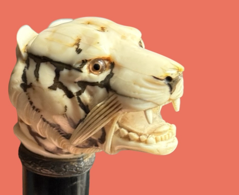 Canne de marche à pommeau en ivoire représentant une tête de tigre. -photo-2