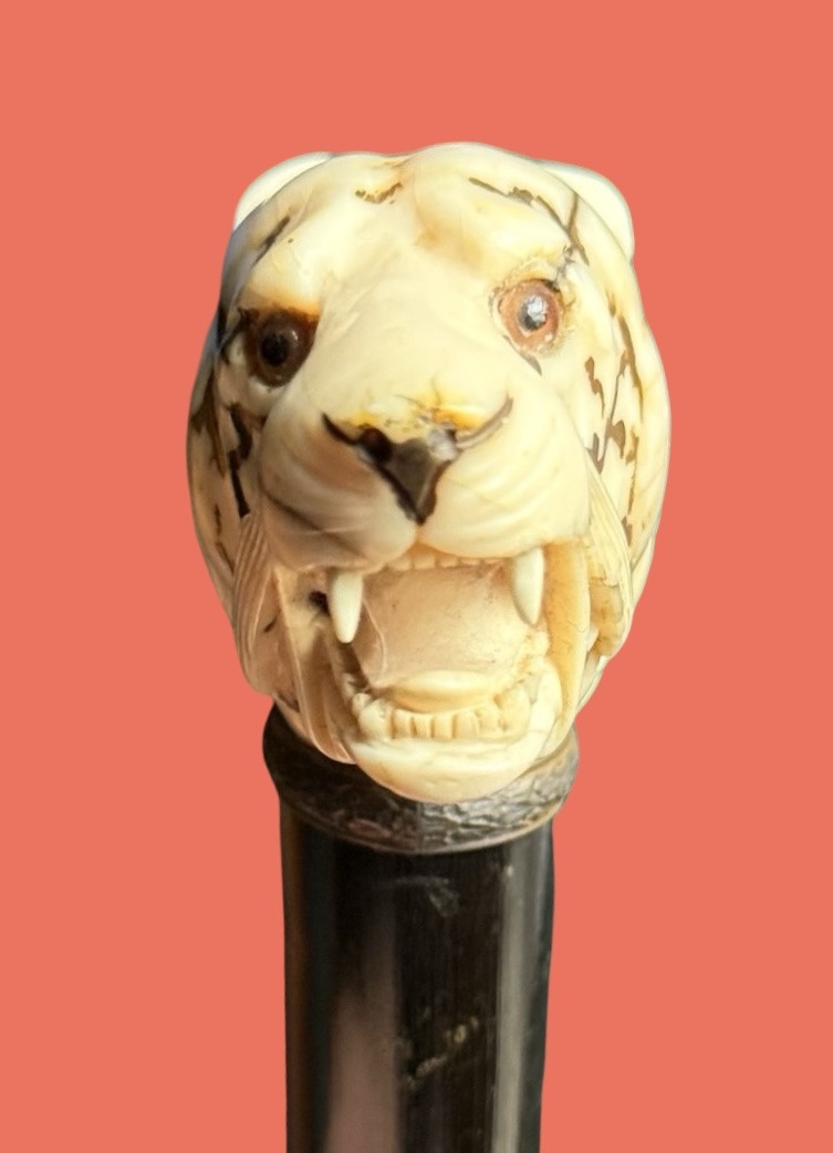 Canne de marche à pommeau en ivoire représentant une tête de tigre. -photo-3