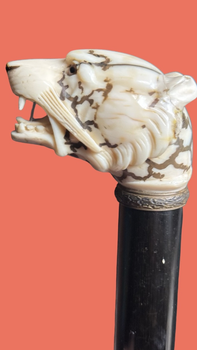 Canne de marche à pommeau en ivoire représentant une tête de tigre. -photo-1