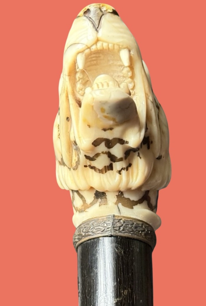 Canne de marche à pommeau en ivoire représentant une tête de tigre. -photo-3