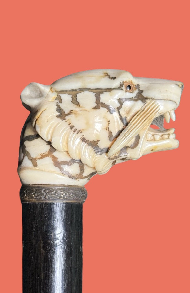 Canne de marche à pommeau en ivoire représentant une tête de tigre. 