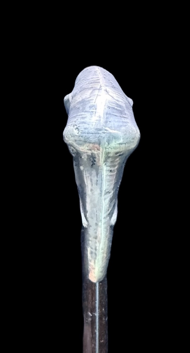 Walking Stick With A Silver Elephant-head Knob. -photo-3