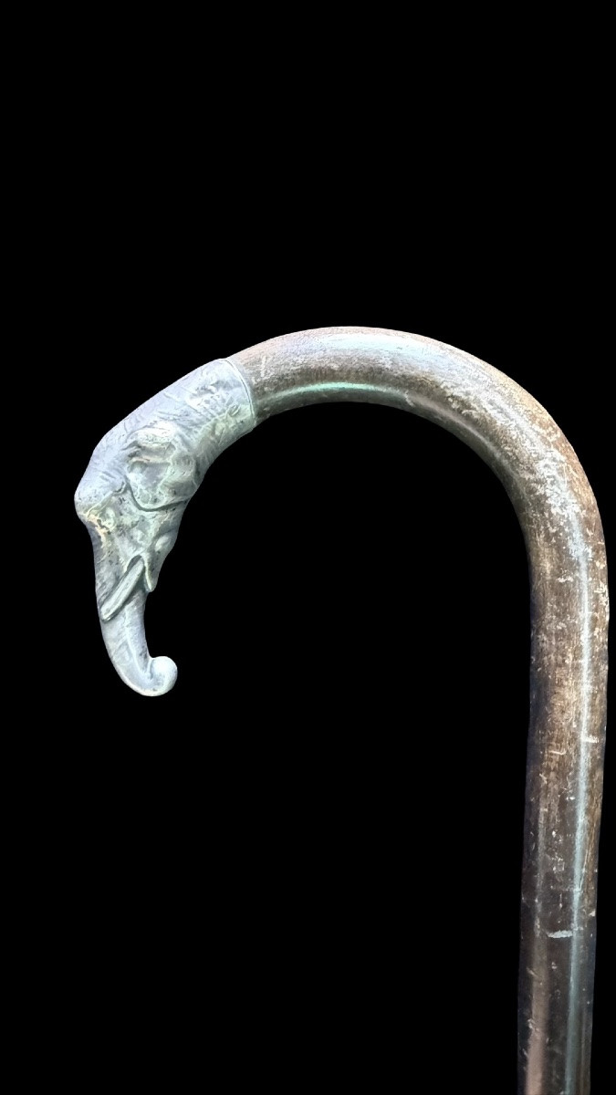 Walking Stick With A Silver Elephant-head Knob. -photo-4