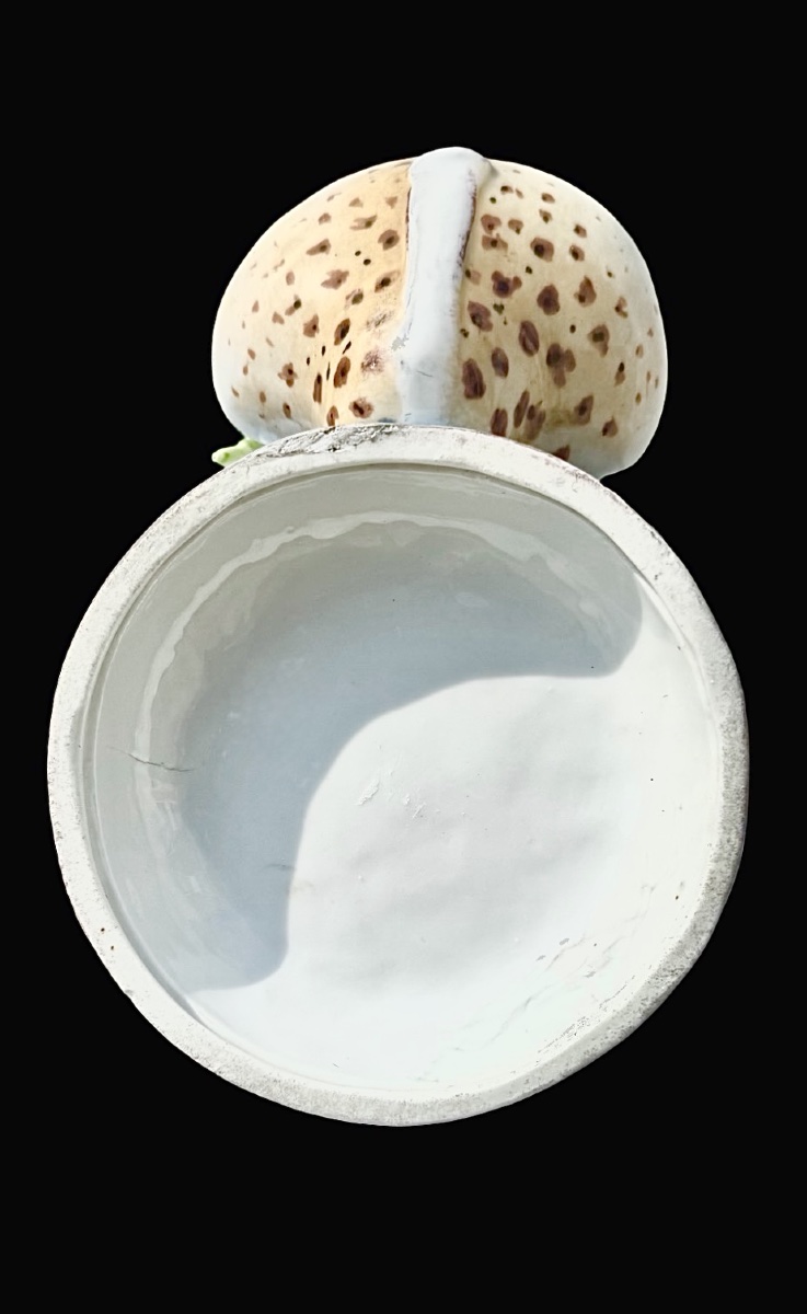Porcelain Vase With An Applied Parrot And A Small Dish. Decorated With Insects And Butterflies.-photo-5