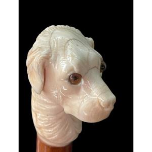 Stick With Knob Depicting A Dog's Head In Ivory.