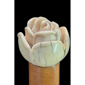 Stick With Ivory Knob Depicting A Rose. Rattan Cane. 