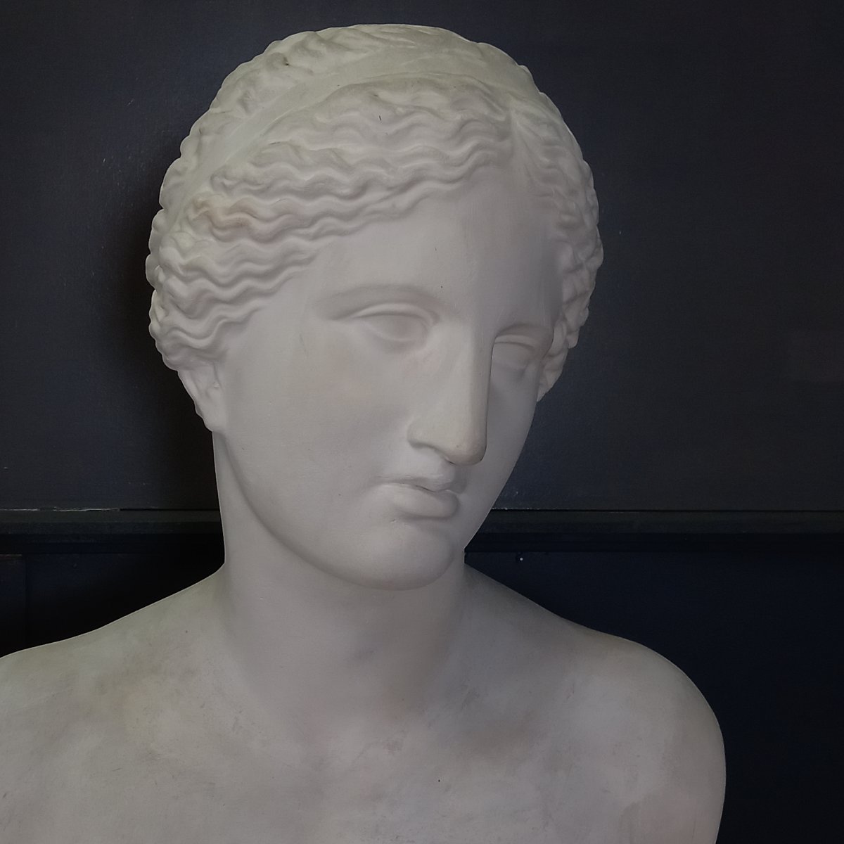 An Exceptionally Large Bust Of The Venus De Milo-photo-3