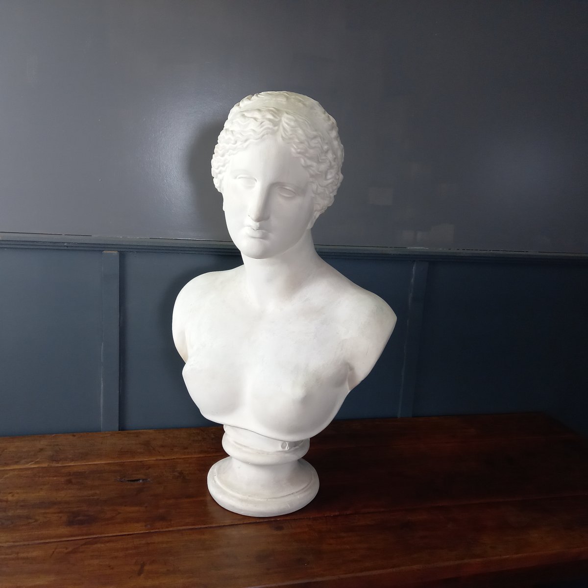 An Exceptionally Large Bust Of The Venus De Milo-photo-1