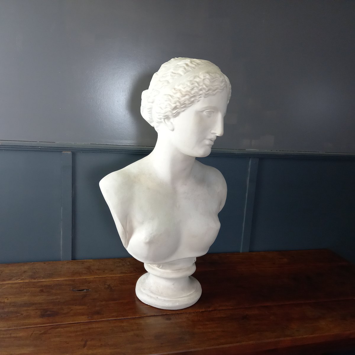 An Exceptionally Large Bust Of The Venus De Milo-photo-4