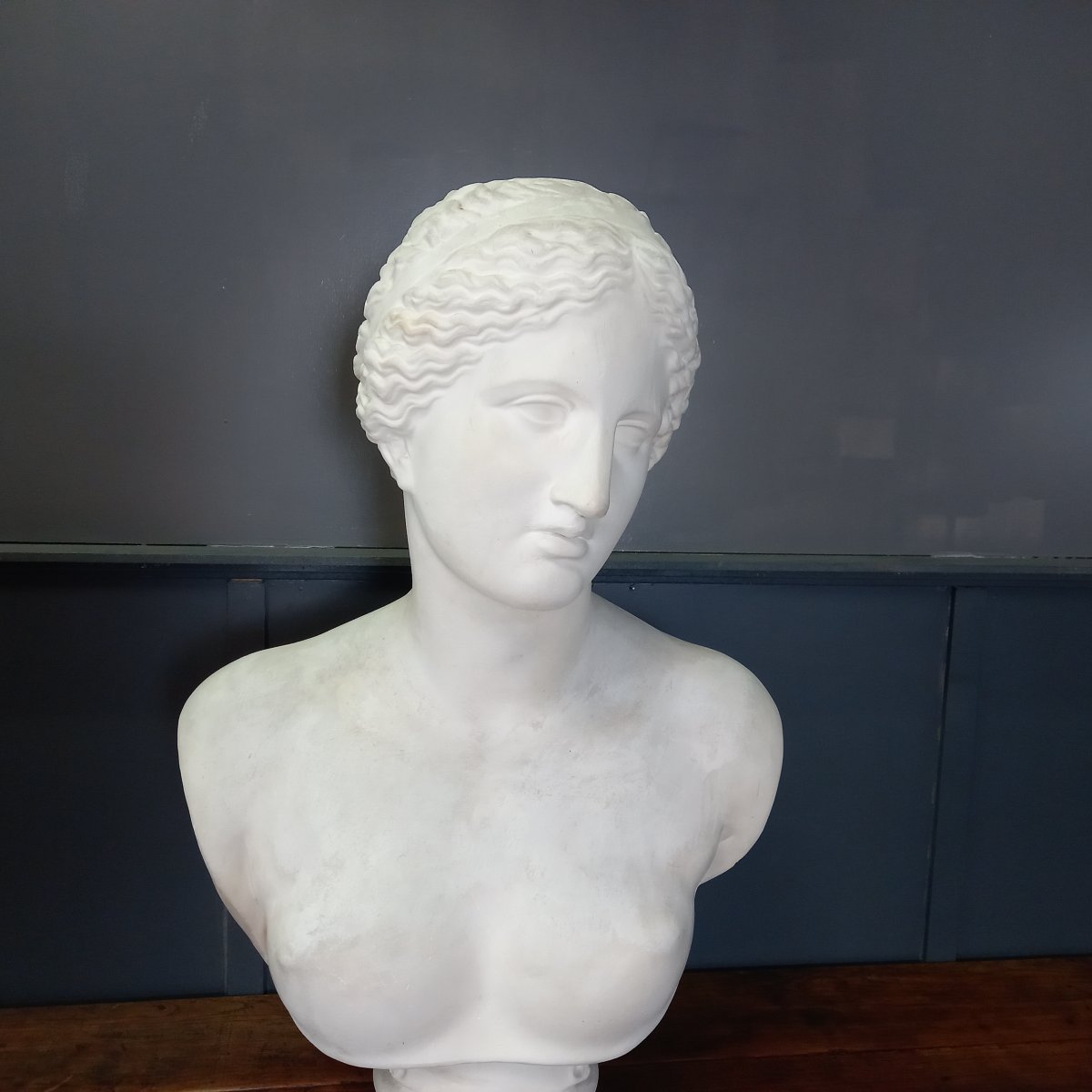 An Exceptionally Large Bust Of The Venus De Milo-photo-5