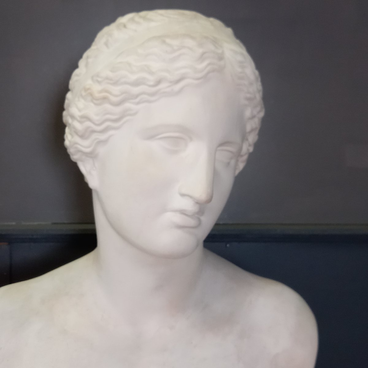 An Exceptionally Large Bust Of The Venus De Milo-photo-6