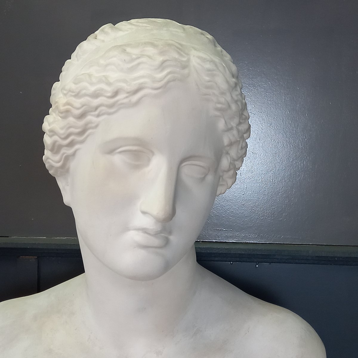 An Exceptionally Large Bust Of The Venus De Milo-photo-7