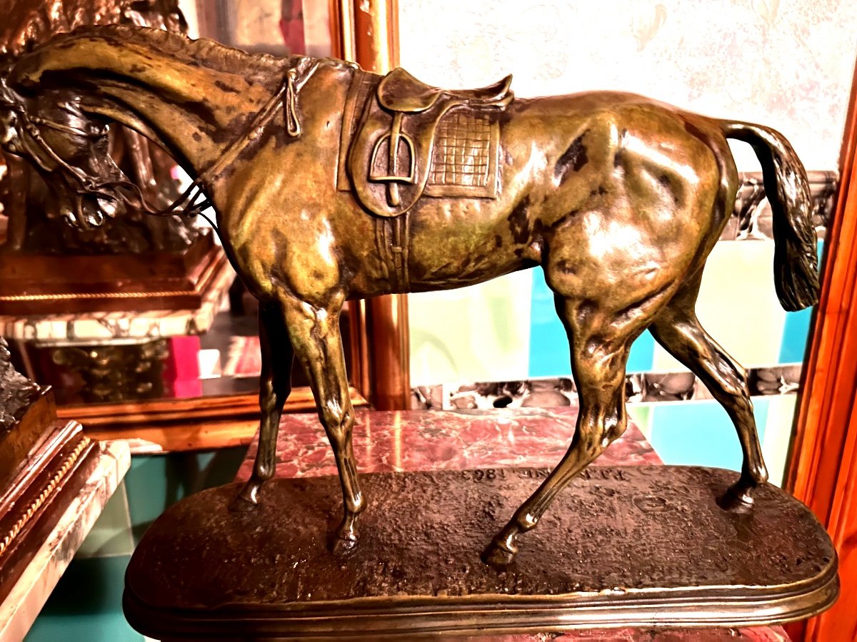 Cheval De Course Pj Mene-photo-4