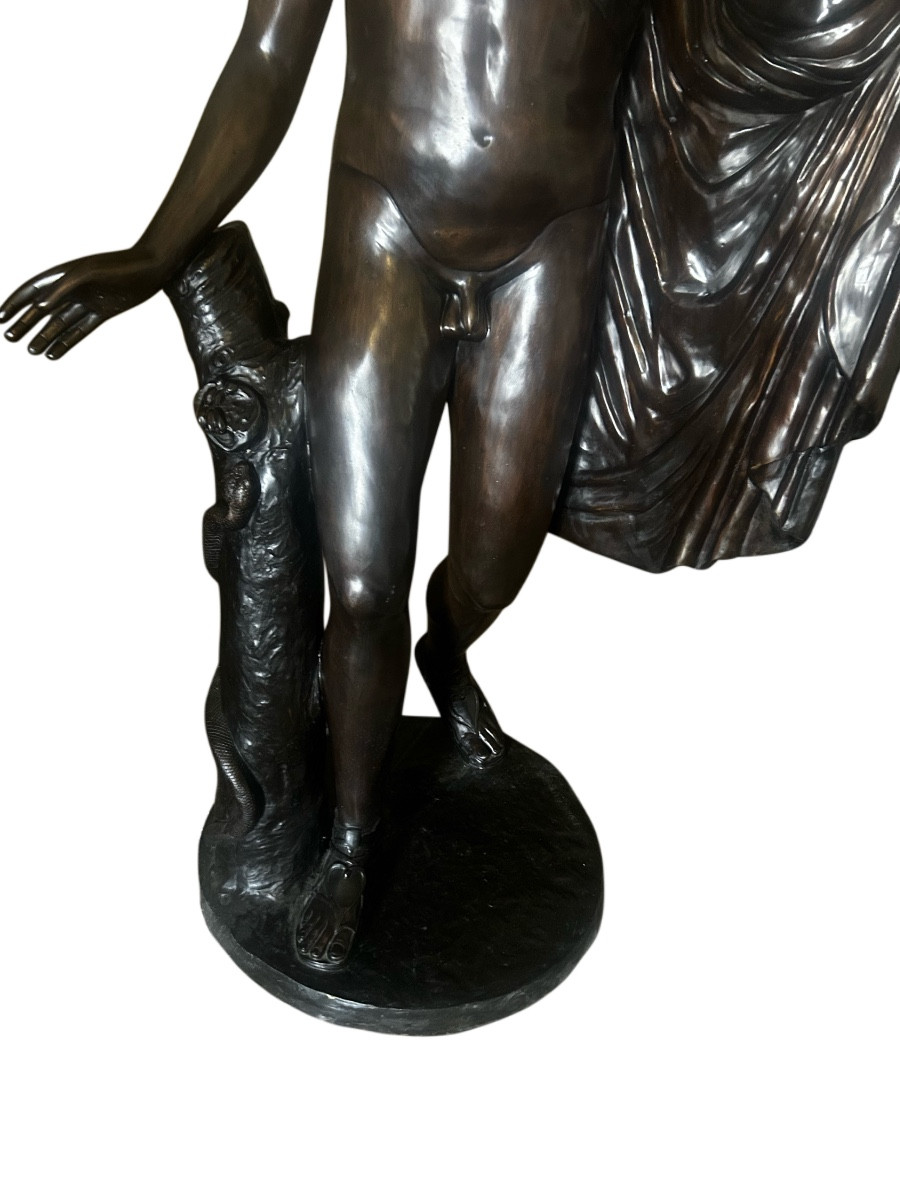 Un bronze de 20 ieme siécle presente(homme nue) APOLLO BELVEDERE sig Vichi firenze1944-photo-4