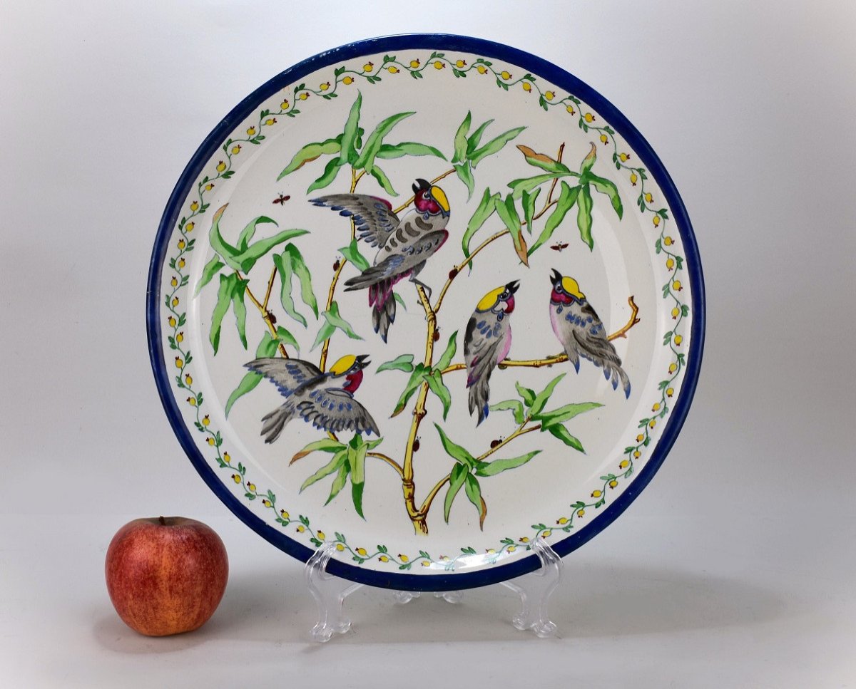Large Creil And Montereau Earthenware Dish. 19th Century-photo-2
