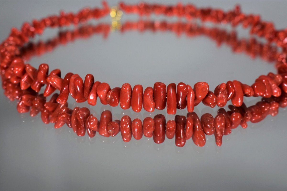 Collier En Corail-photo-3