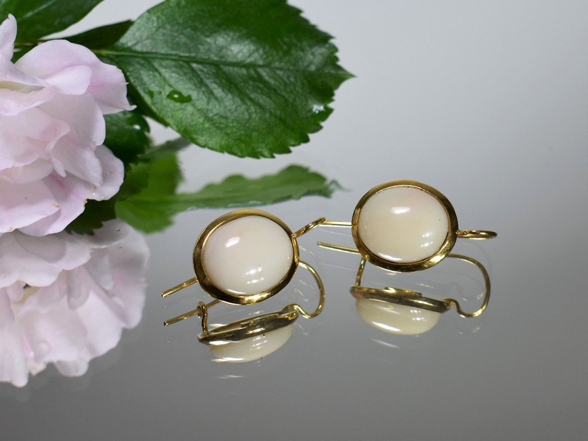 Satsuma Coral Earrings
