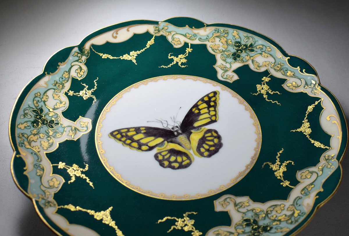 Beautiful Limoges Porcelain Plate. Late 19th-photo-4