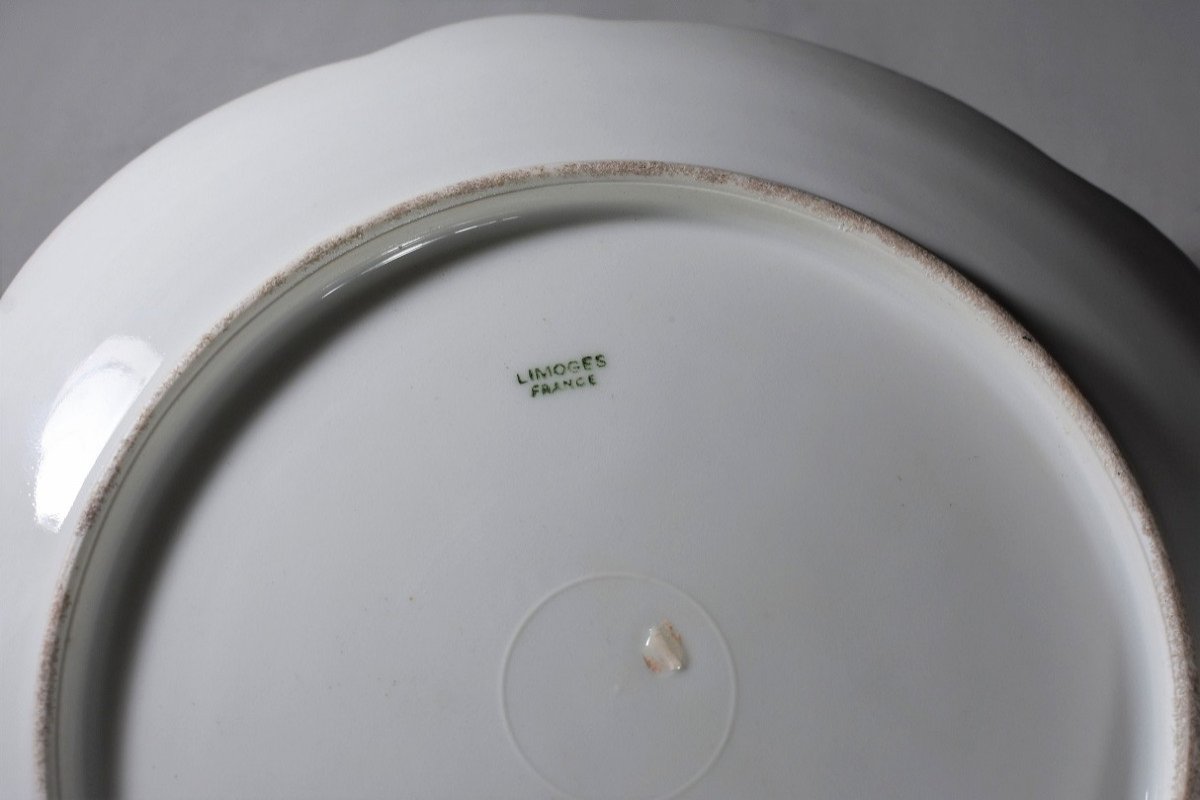 Beautiful Limoges Porcelain Plate. Late 19th-photo-5