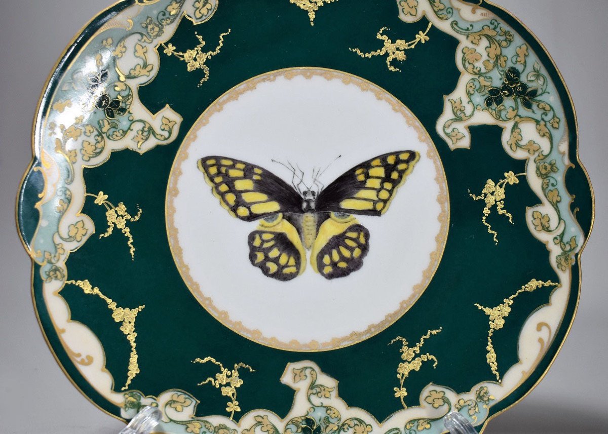 Beautiful Limoges Porcelain Plate. Late 19th