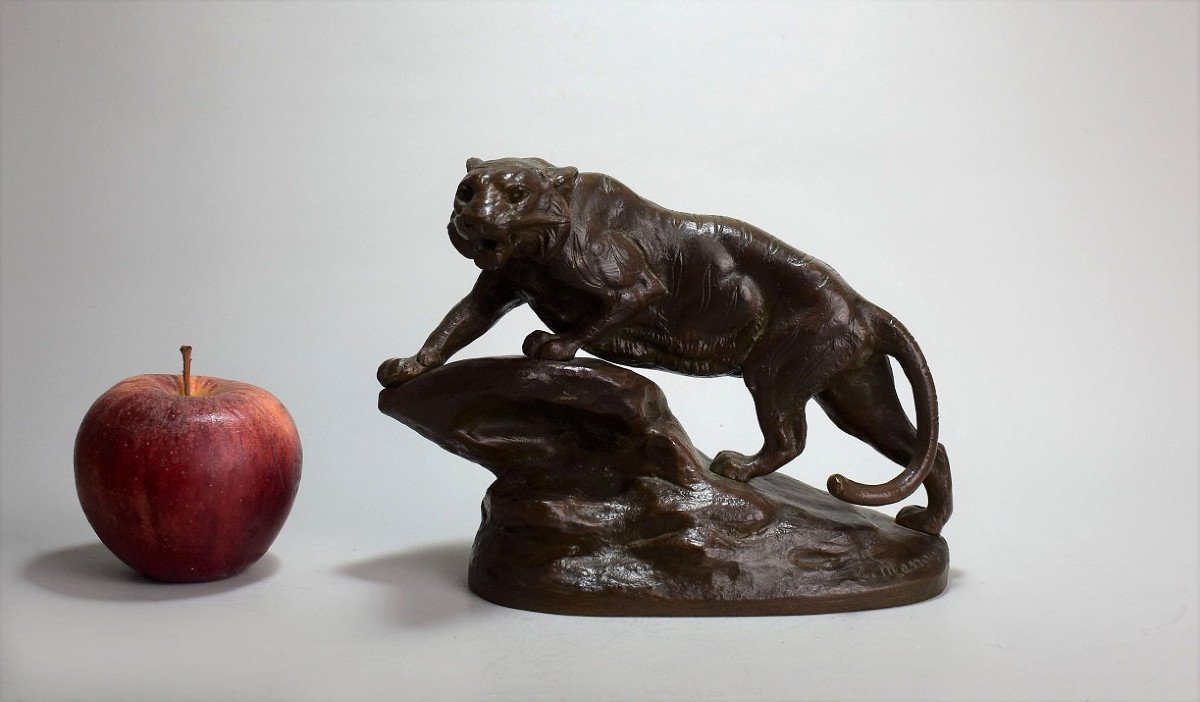 Bronze La Tigresse Par Clovis Edmond Masson.xixème-photo-4