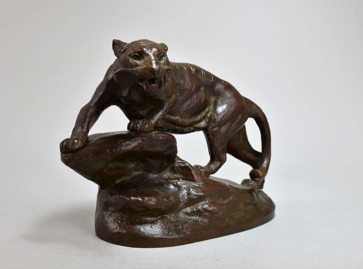 Bronze La Tigresse Par Clovis Edmond Masson.xixème-photo-2