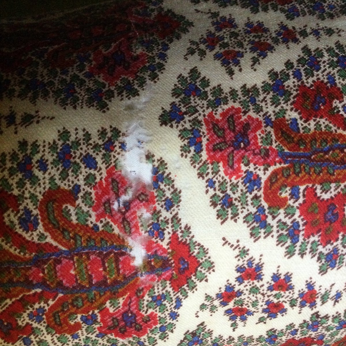 Schall Cashmere Printed 19th-photo-4