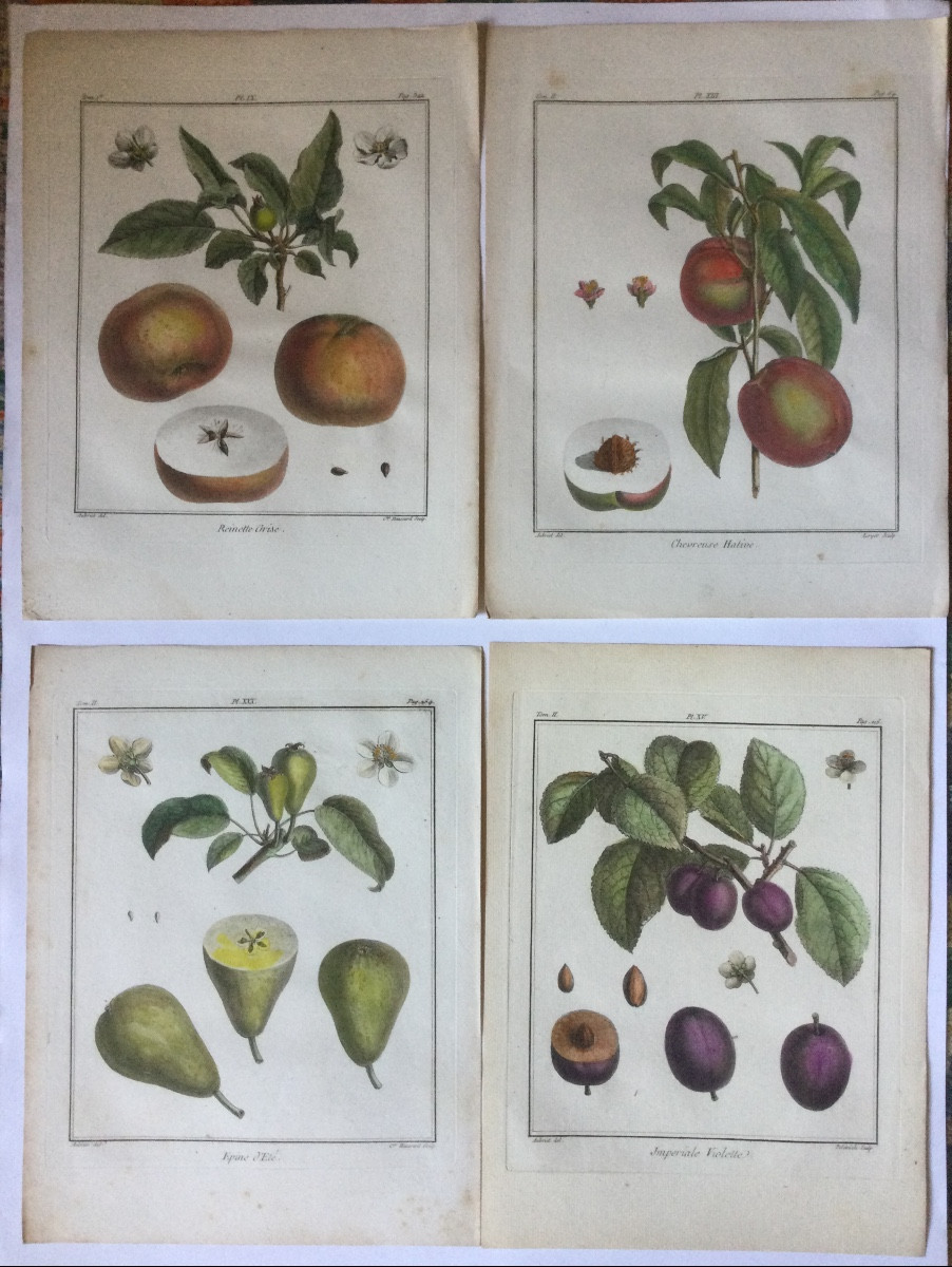 Duhamel du Monceau, huit gravures, 18ème siècle.-photo-3