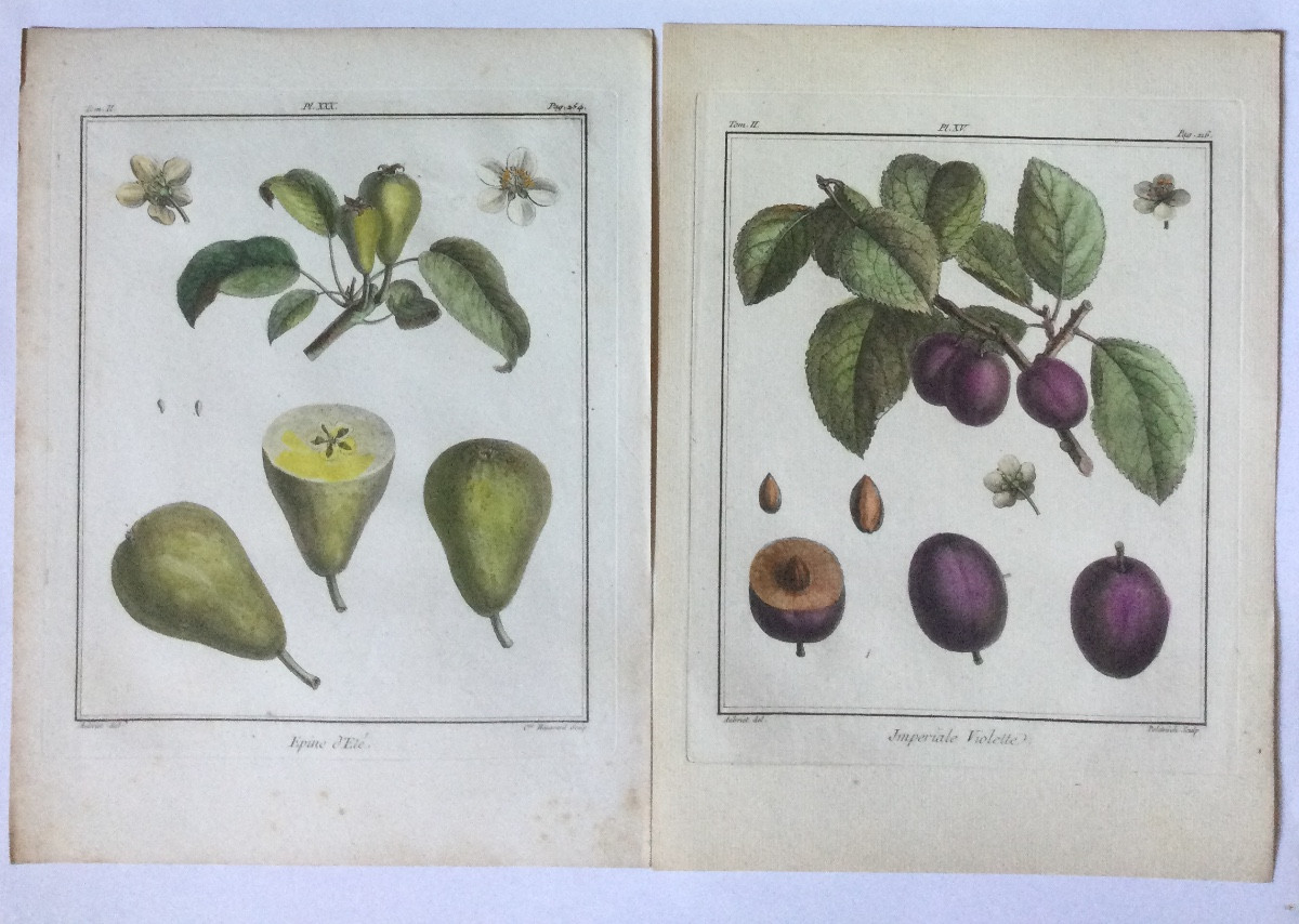 Duhamel du Monceau, huit gravures, 18ème siècle.-photo-4