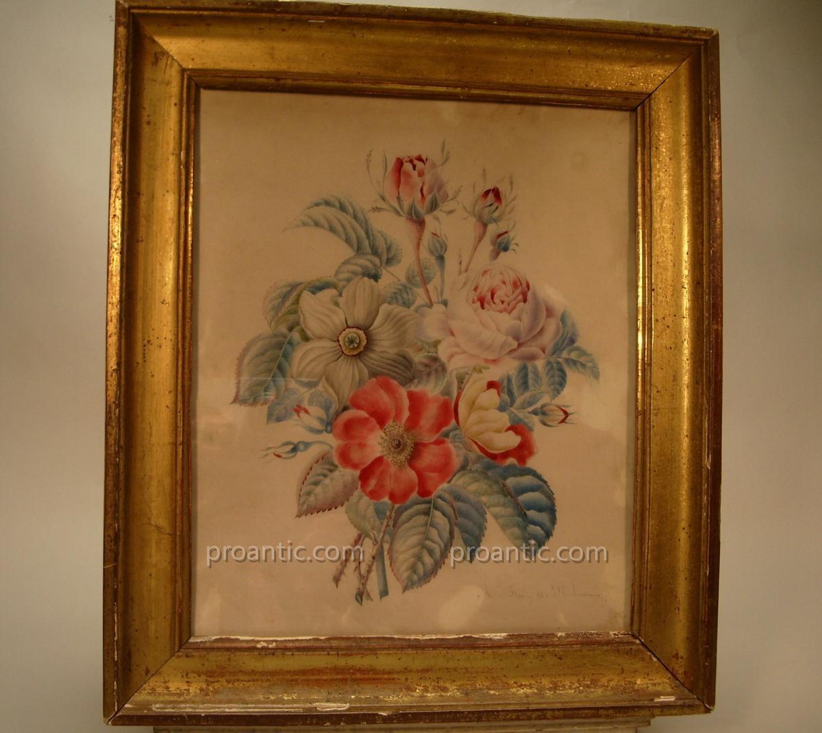 Watercolor Flowers On Vellum, 19th.-photo-2