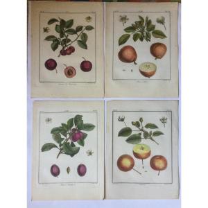 Duhamel du Monceau, huit gravures, 18ème siècle.