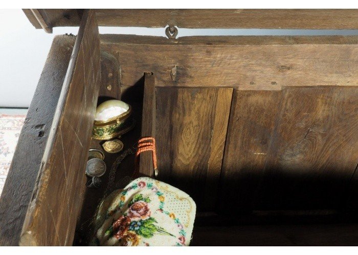 XVII Travel Trunk-photo-3