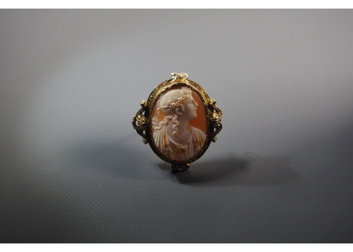 Broch Gold  And Cameo 19th Century .-photo-3