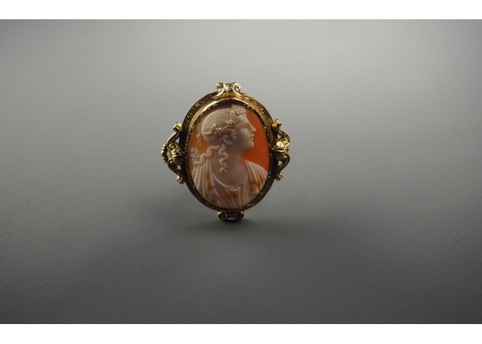 Broch Gold  And Cameo 19th Century .-photo-1