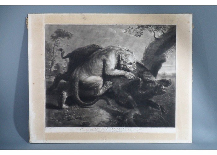Gravure "Le lion et le sanglier" XVIII John Boydell-photo-2