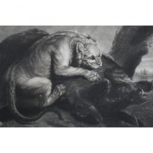 Engraving "the Lion And The Boar" . Printed January 1, 1772 By John Boydell.