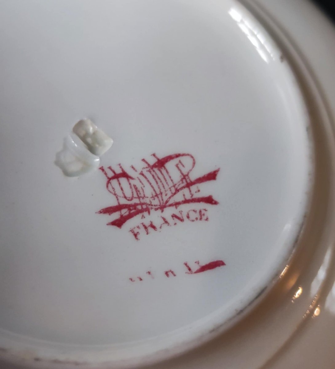 5 TASSES A CAFE + 9 SOUS-TASSES DECOR FLORAL SIGNE KG LUNEVILLE XIXè ART NOUVEAU-photo-2