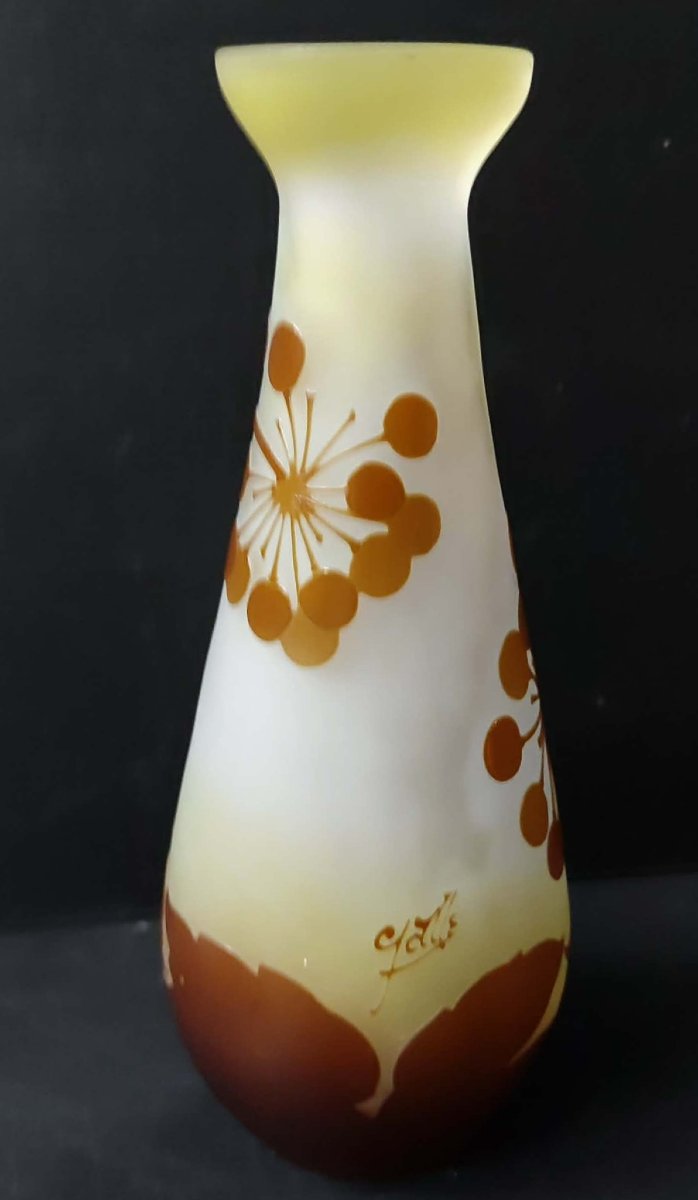 Galle Vase In Acid-etched Pate De Verre With Ombelle Decoration Art Nouveau Period 1900-photo-2