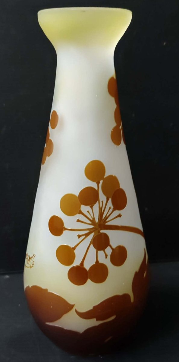 Galle Vase In Acid-etched Pate De Verre With Ombelle Decoration Art Nouveau Period 1900-photo-3